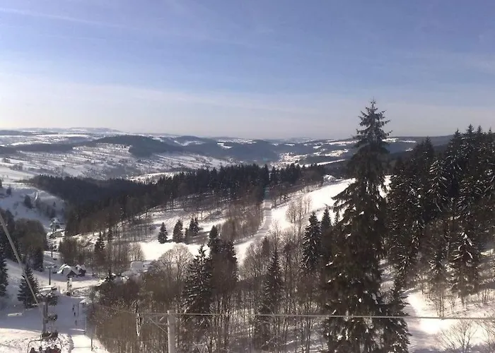 Pichberg Horska * Рокицани